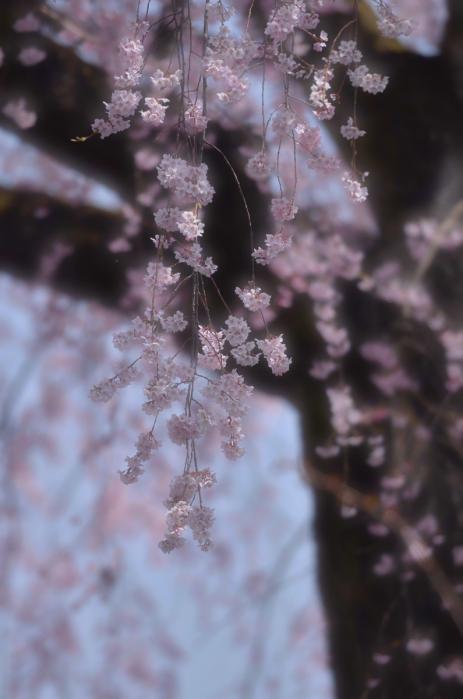 法蔵寺