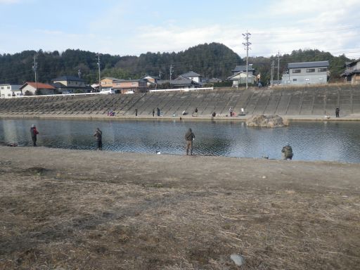 IMGP3233512.jpg