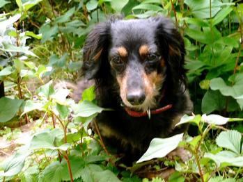 !_20120607215444.jpg