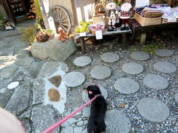 花梨の実