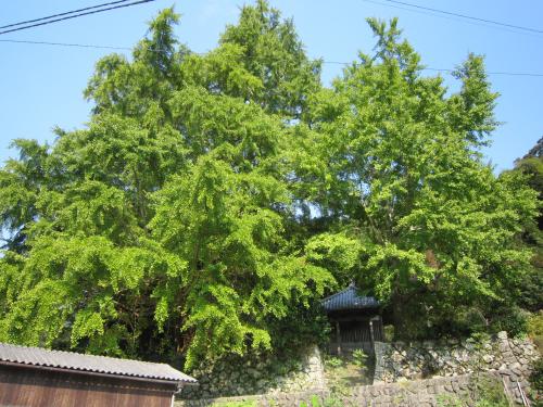 IMG_5611_convert_20121026111424.jpg