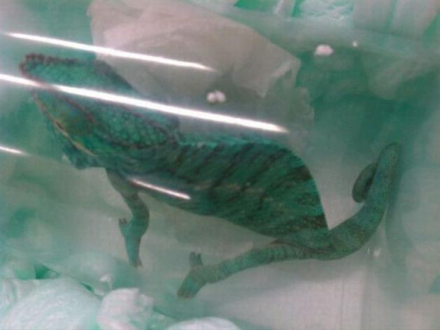 20121224-17-11.jpg