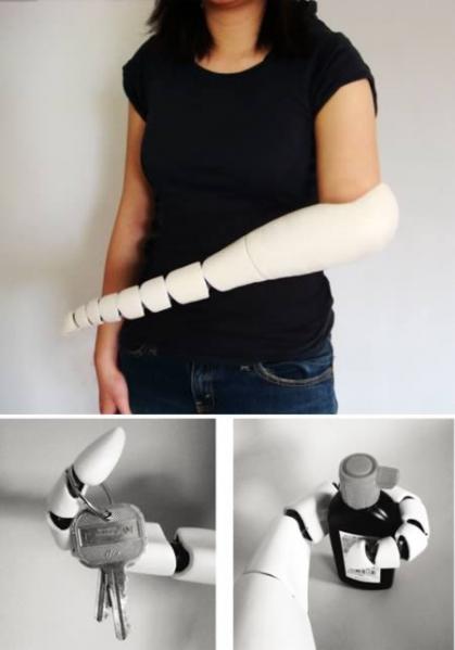 a98359_prosthectics_2-octopus.jpg