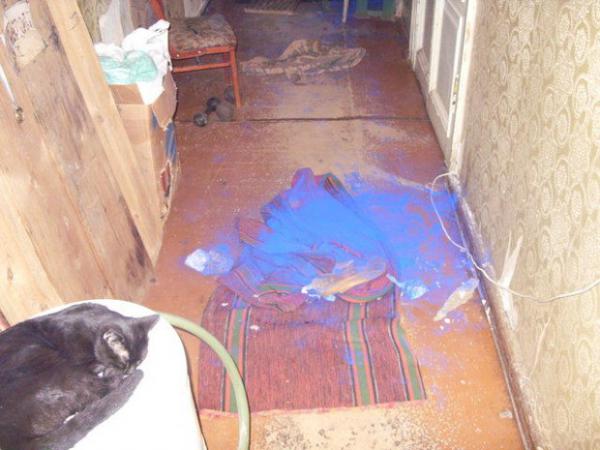 blue_dog_01.jpg