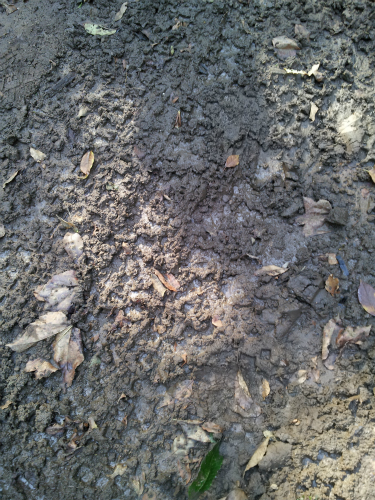 2014-10-18 102101 (3)