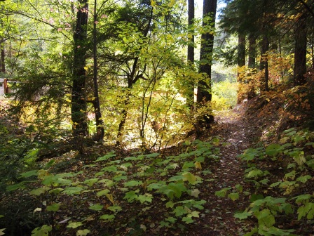 Squaw vally PA176198