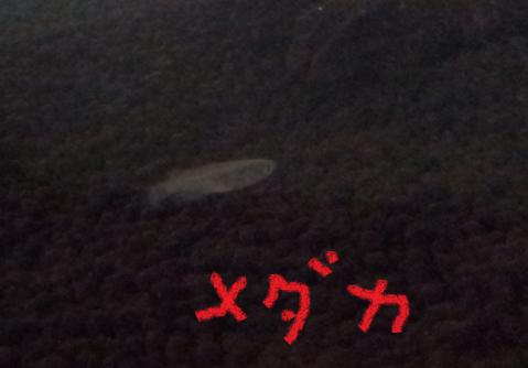 20120921_224339.jpg