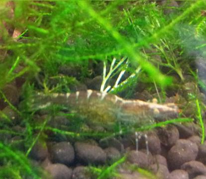 20120925_202210.jpg