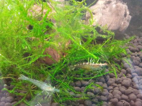 20120925_202245.jpg