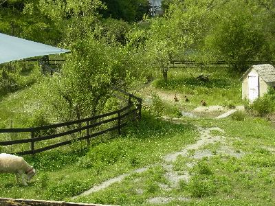 20130603_7.jpg