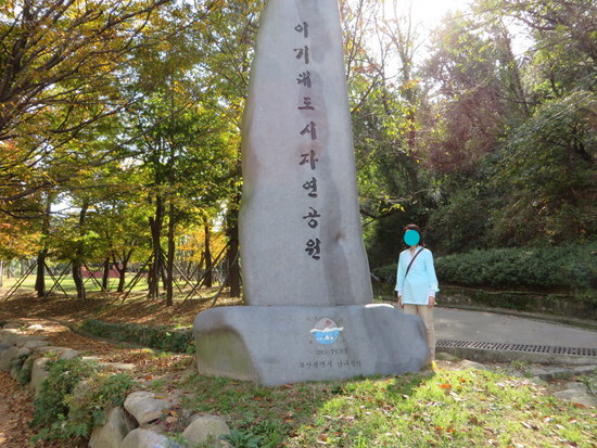 1-IMG_5948_20141128121521467.jpg