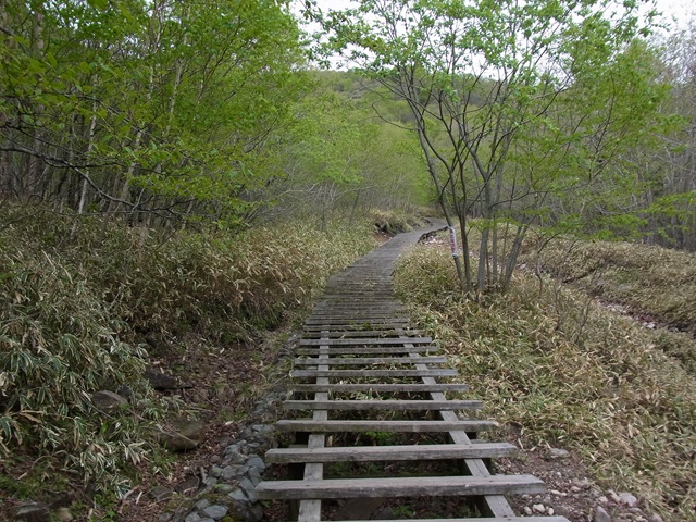 地藏岳3