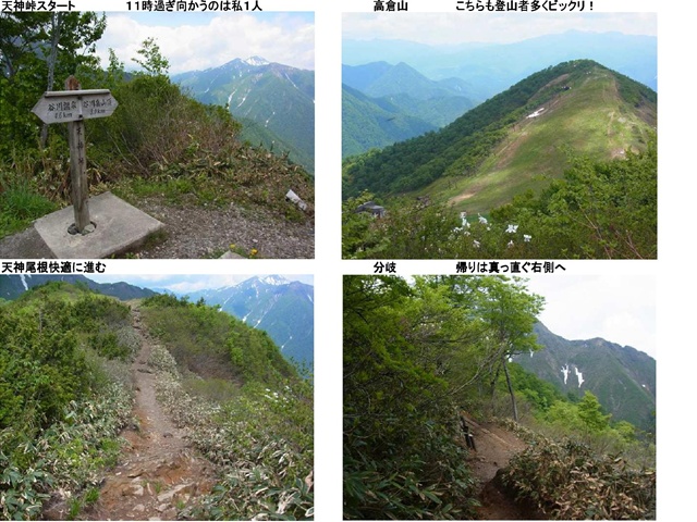 谷川S-1_p