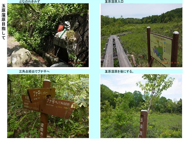 鹿俣山1_p