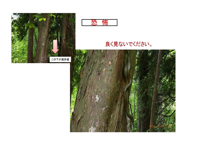 恐怖_p