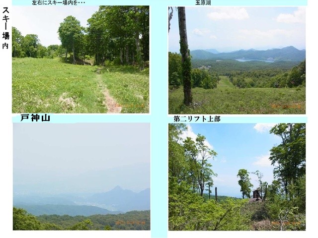 戸神山4