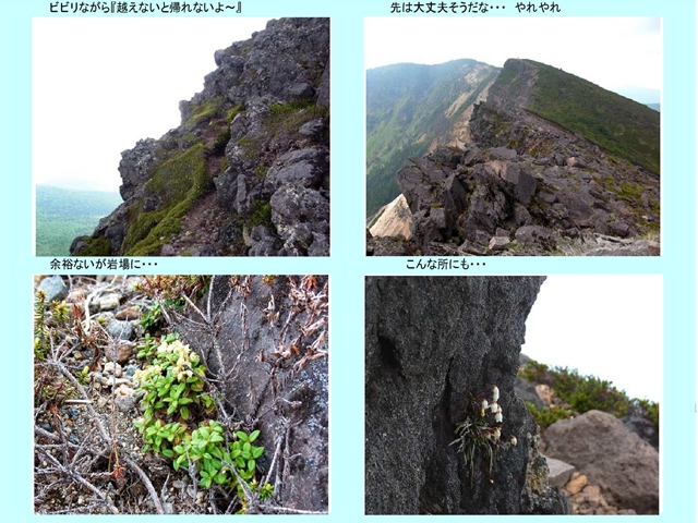 ビビリ山_p