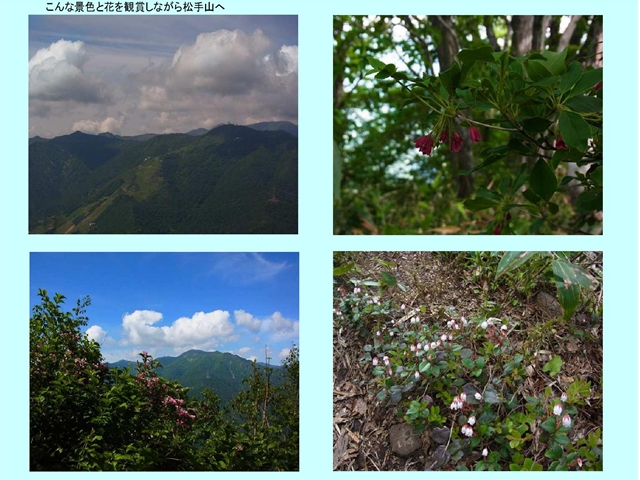 松手山へ2_p