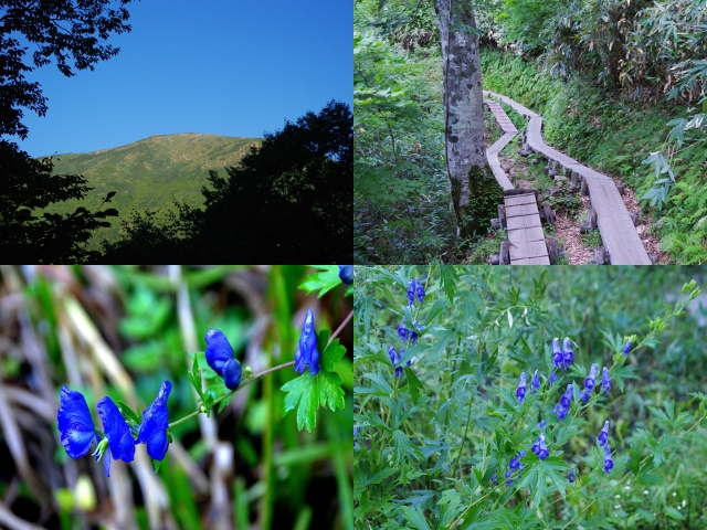 鳩待峠→山の鼻