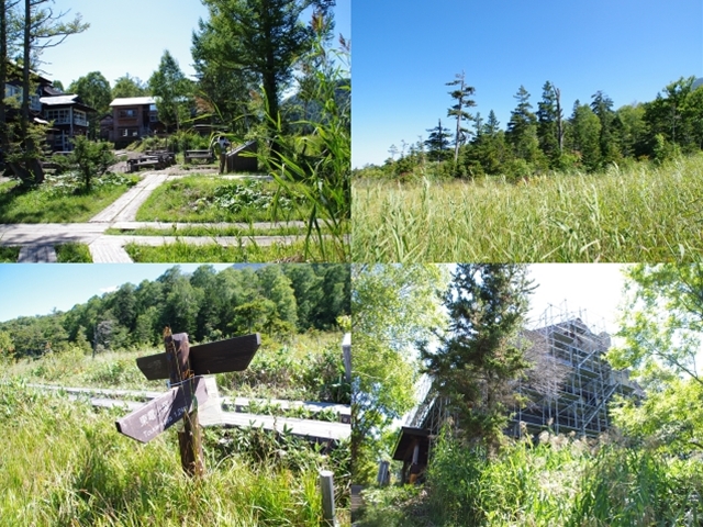 圧縮見晴→東電小屋