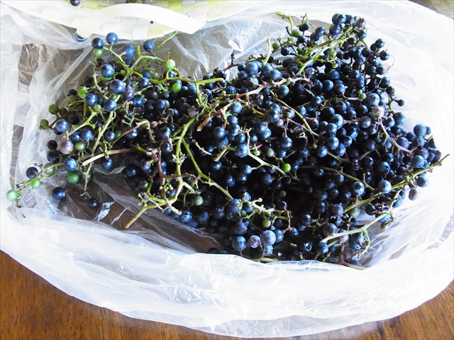 20121005003.jpg
