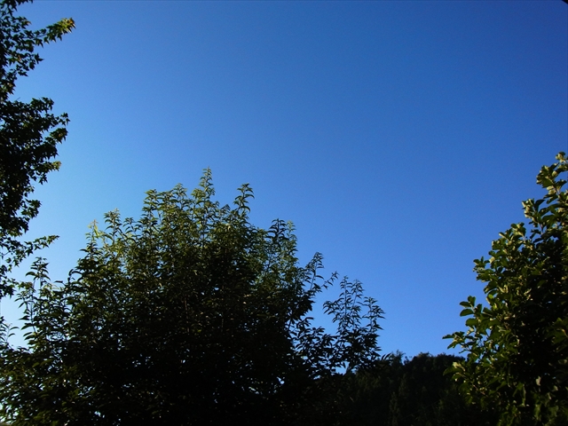 20121005空