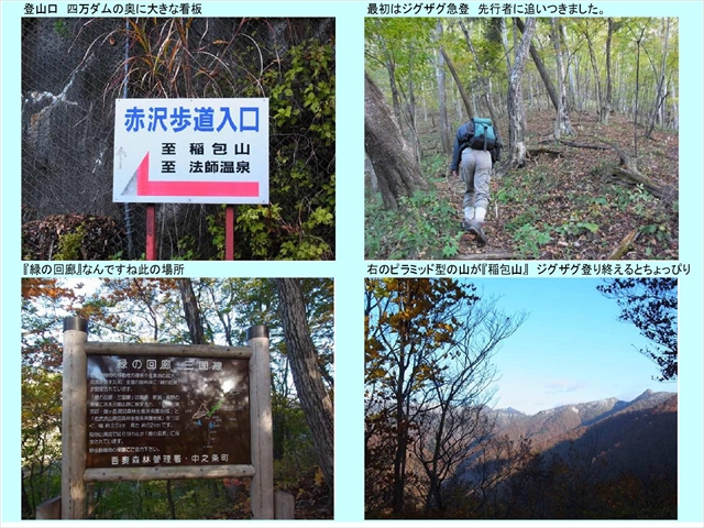 山稲包山1_11
