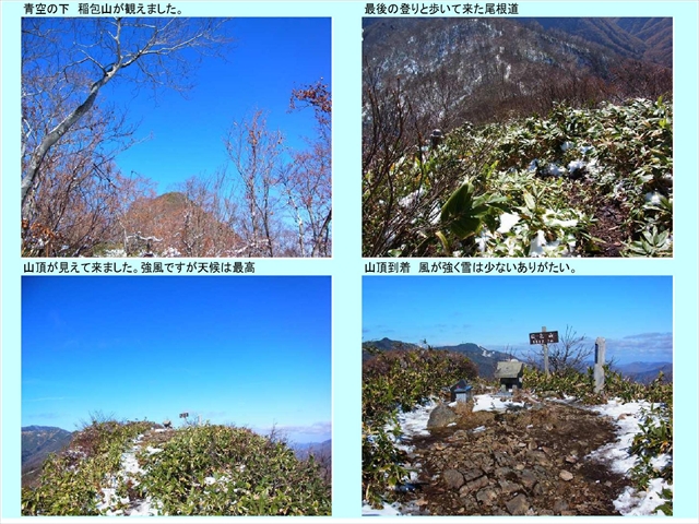 山稲包山3_11