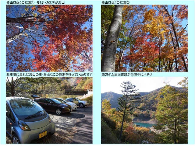 山稲包山5_11
