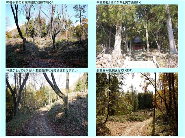 戸神山戸神山2_11