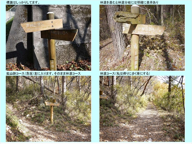 戸神山戸神山3_11
