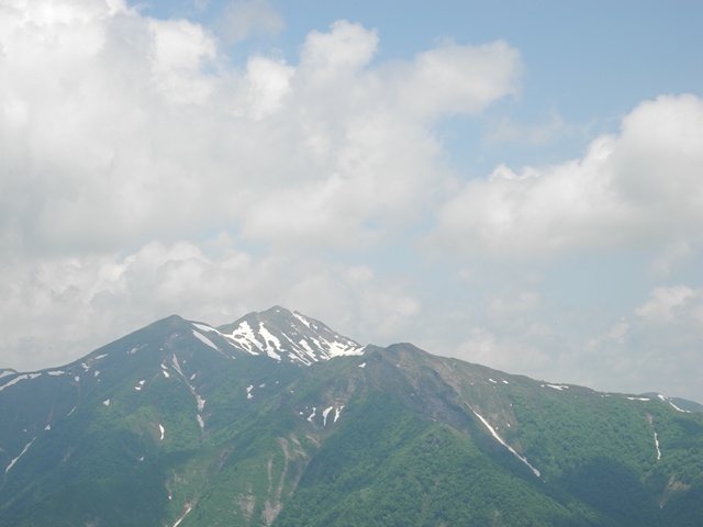 DSCN0338_p.jpg