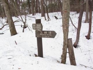 R0012545_R_x.jpg