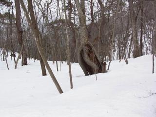 R0012564_R_x.jpg
