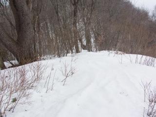 R0012577_R_x.jpg