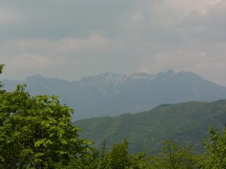 R0013836_x.jpg
