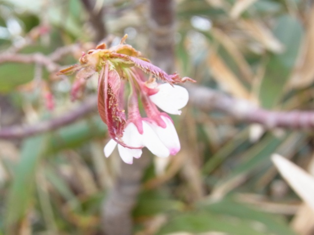 R1084189_p.jpg