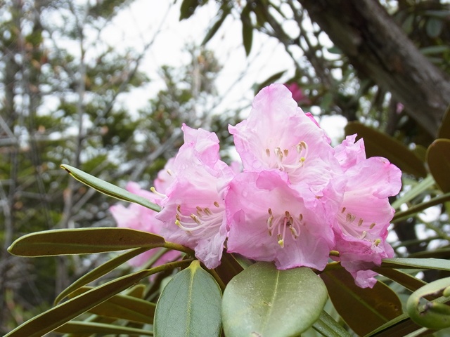 R1084246_p.jpg