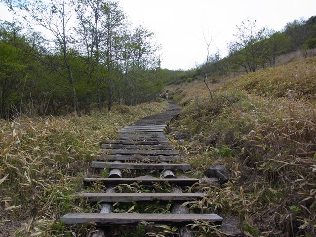 R1084291_p.jpg