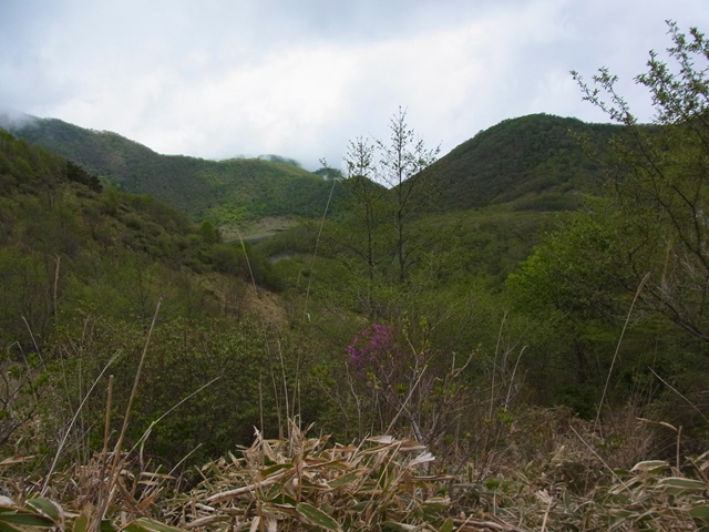R1084302_p.jpg