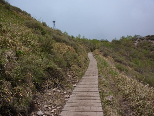 R1084311_p.jpg