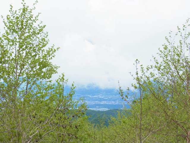 R1084350_p.jpg