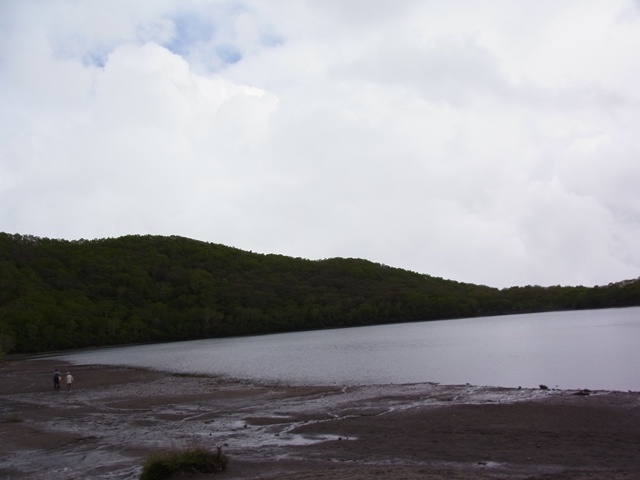 R1084396_p.jpg