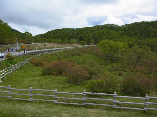 R1084399_p.jpg