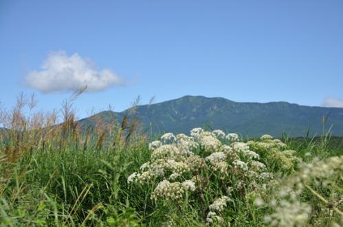 四阿山
