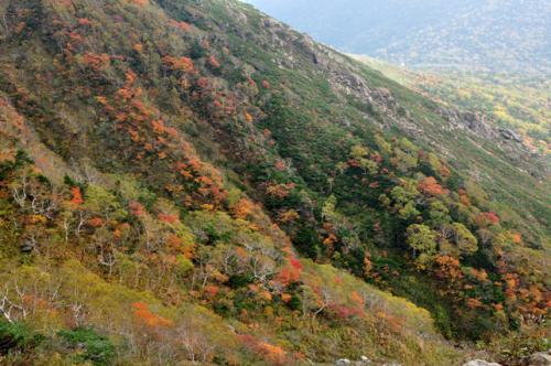 中腹辺りが見ごろの紅葉