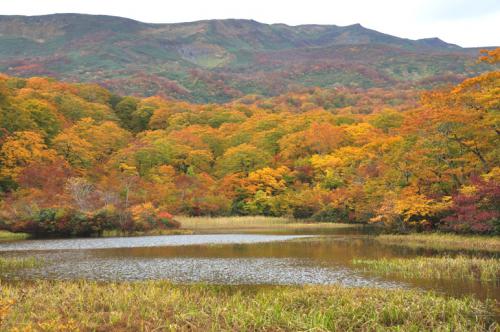 紅葉の上沼。