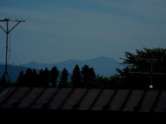 DSCN1363.jpg