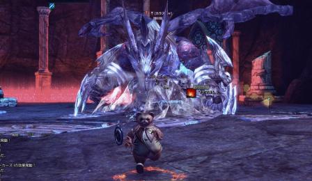 TERA14.jpg