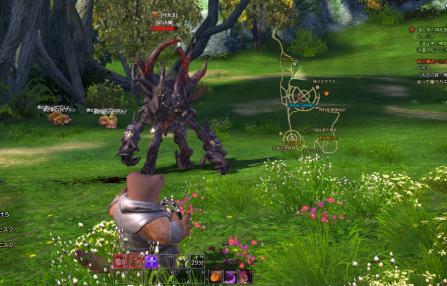 TERA6.jpg